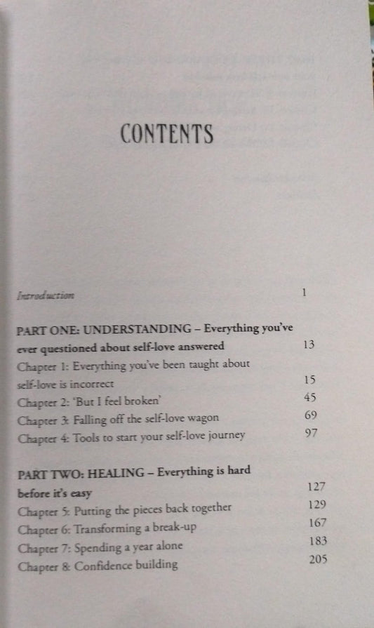 Buy Yourself the Damn Champagne by Amanda Frances English Novel