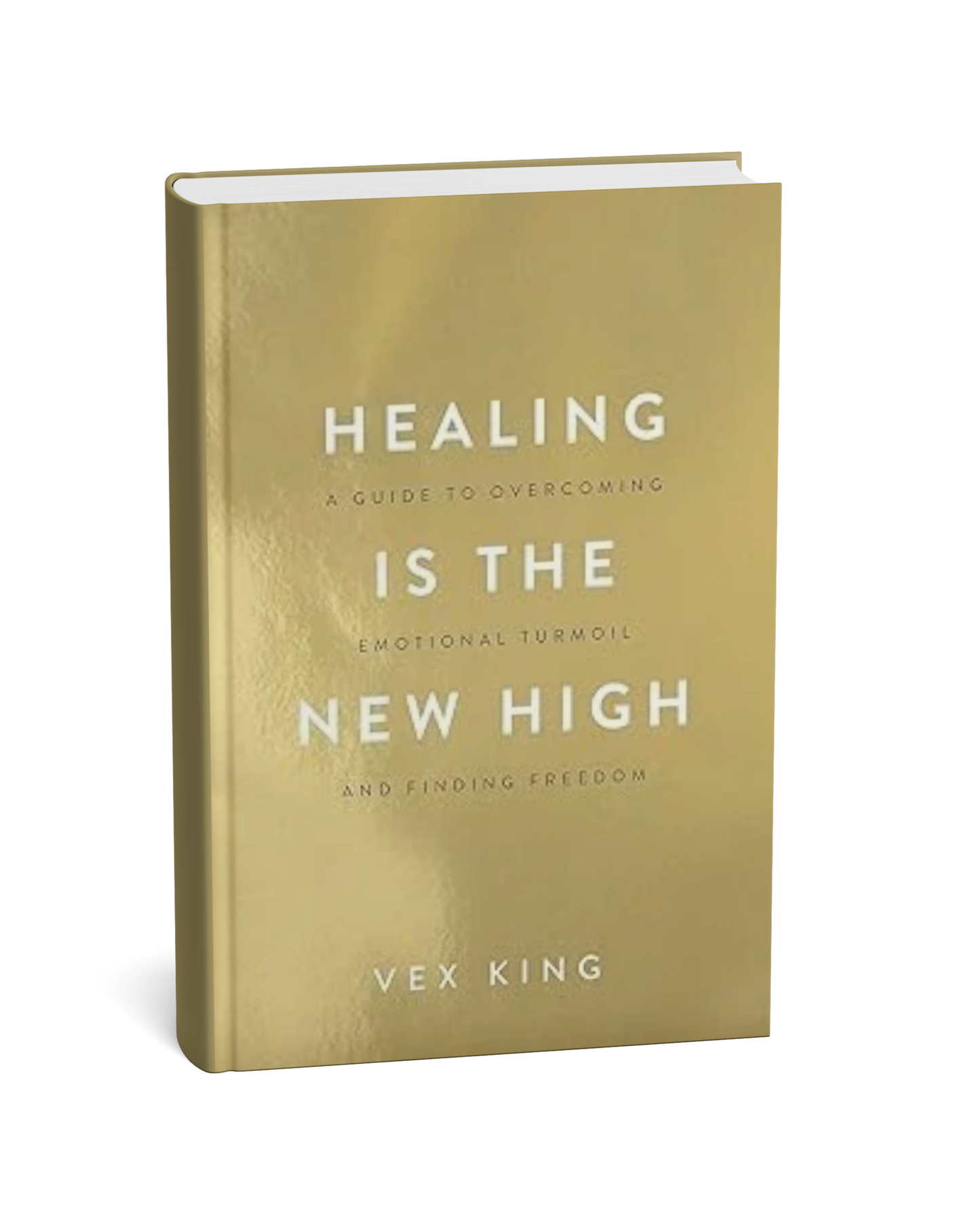 Healing Is the New High: by vex king (paperback, english )