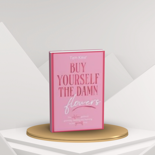 Buy Yourself the Damn Champagne by Amanda Frances English Novel