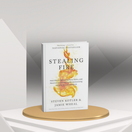 Stealing Fire – A Thrilling Tale of Ambition and Risk (E)