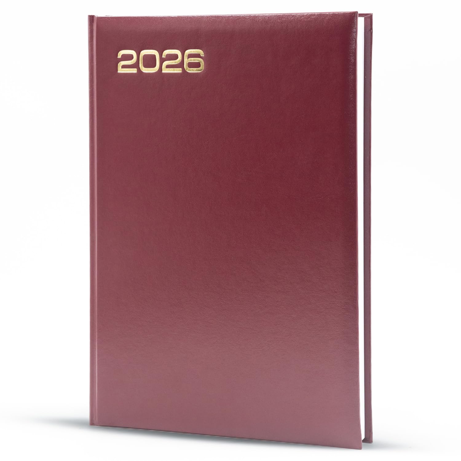 New Year Diary 2026