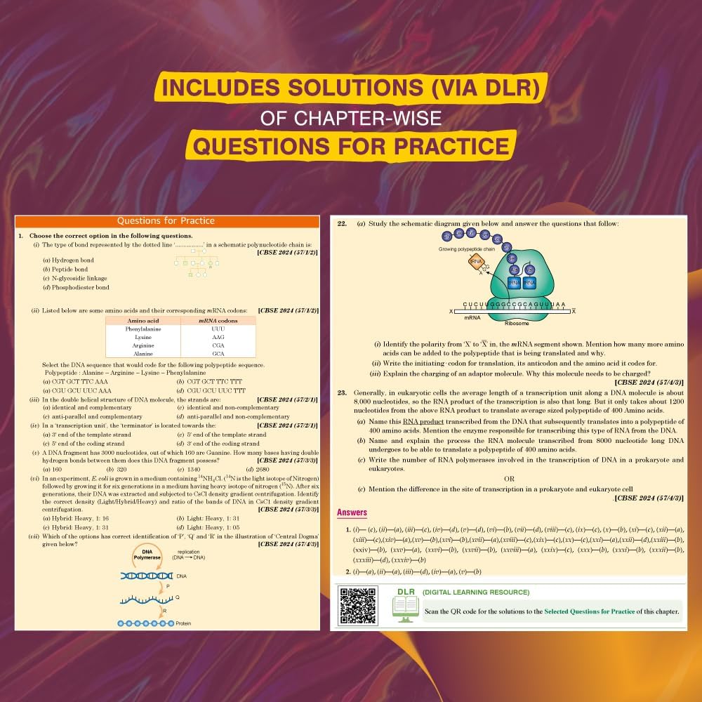 VK XamIdea Class 12 Biology | 2025–26 Edition |(English Medium)