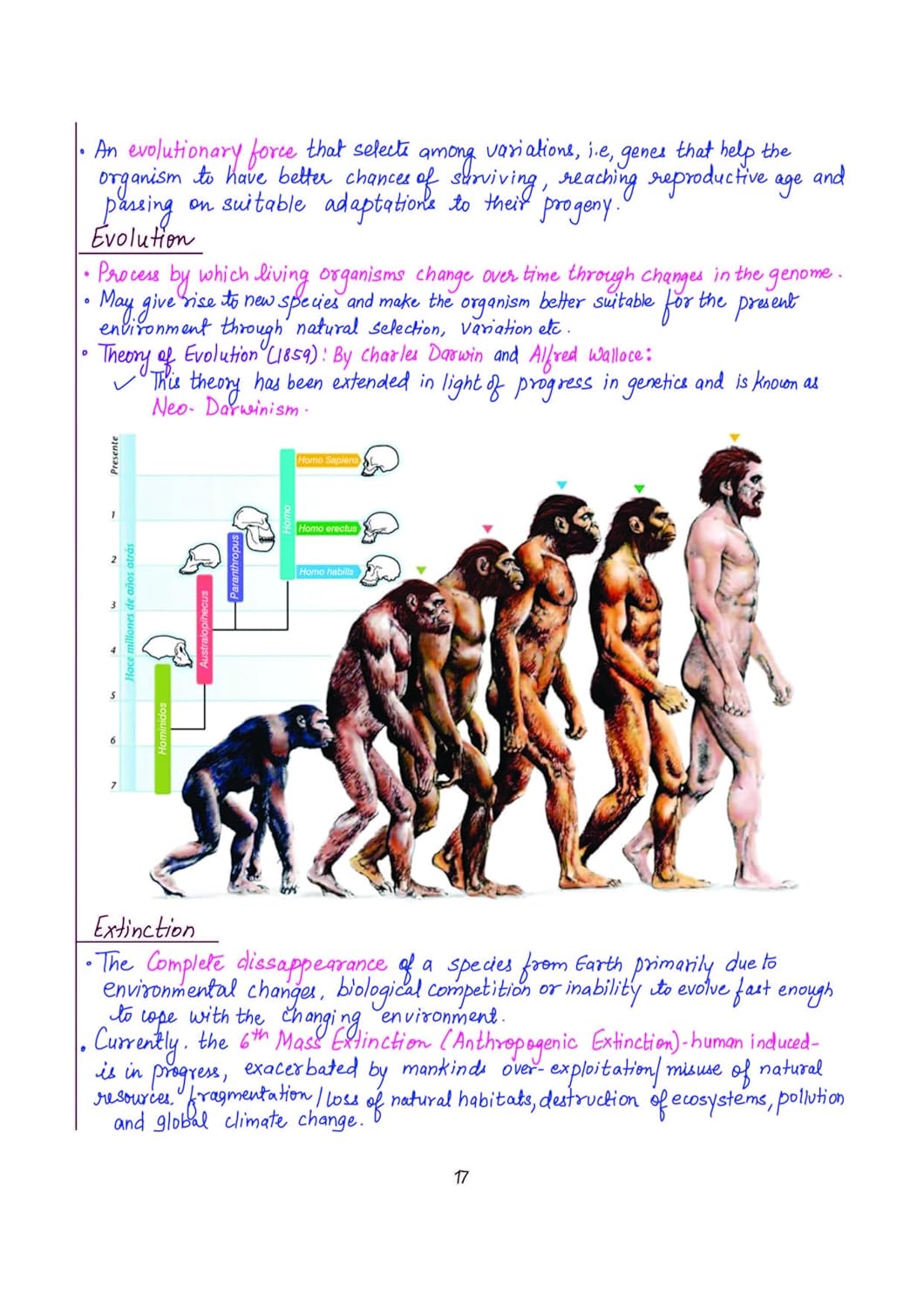 Arihant - PULSE 3.0 UPSC Prelims 2026 Handwritten Notes – Environment & Ecology | English Medium