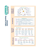 Arihant CDP & Teaching Aptitude Capsule Handwritten Notes | English Medium