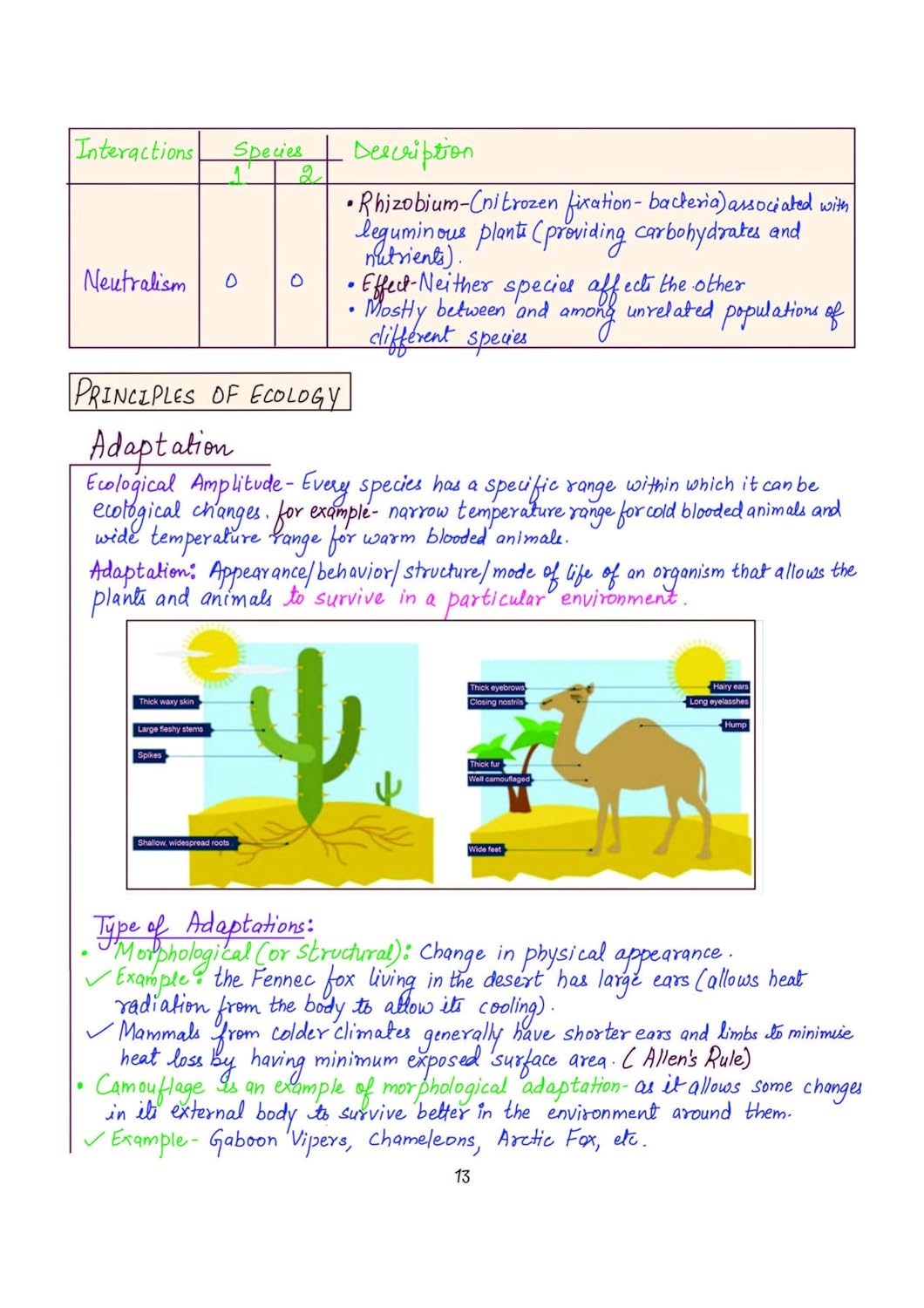 Arihant - PULSE 3.0 UPSC Prelims 2026 Handwritten Notes – Environment & Ecology | English Medium