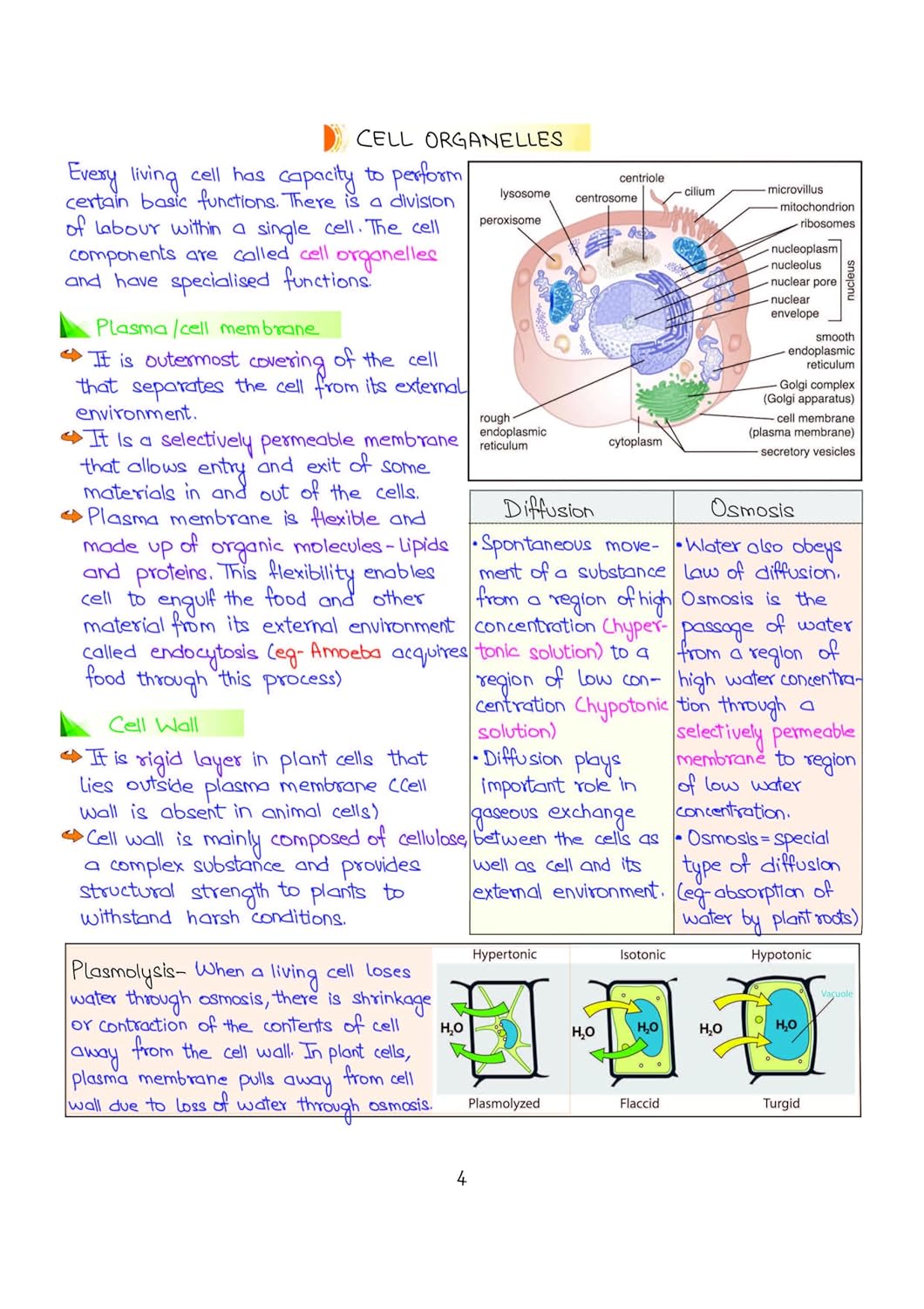 Arihant - PULSE 3.0 UPSC Prelims 2026 Handwritten Notes – Science & Technology | English Medium
