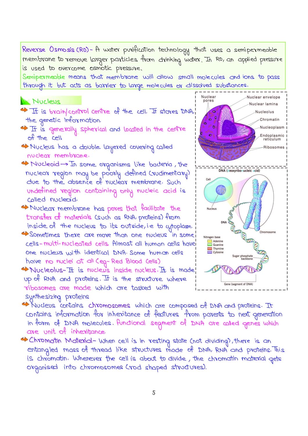 Arihant - PULSE 3.0 UPSC Prelims 2026 Handwritten Notes – Science & Technology | English Medium