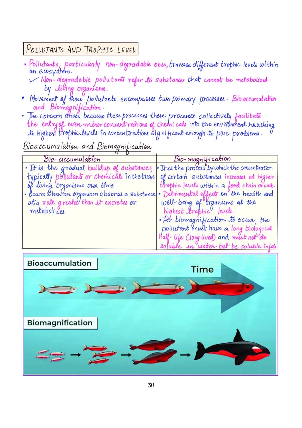 Arihant - PULSE 3.0 UPSC Prelims 2026 Handwritten Notes – Environment & Ecology | English Medium