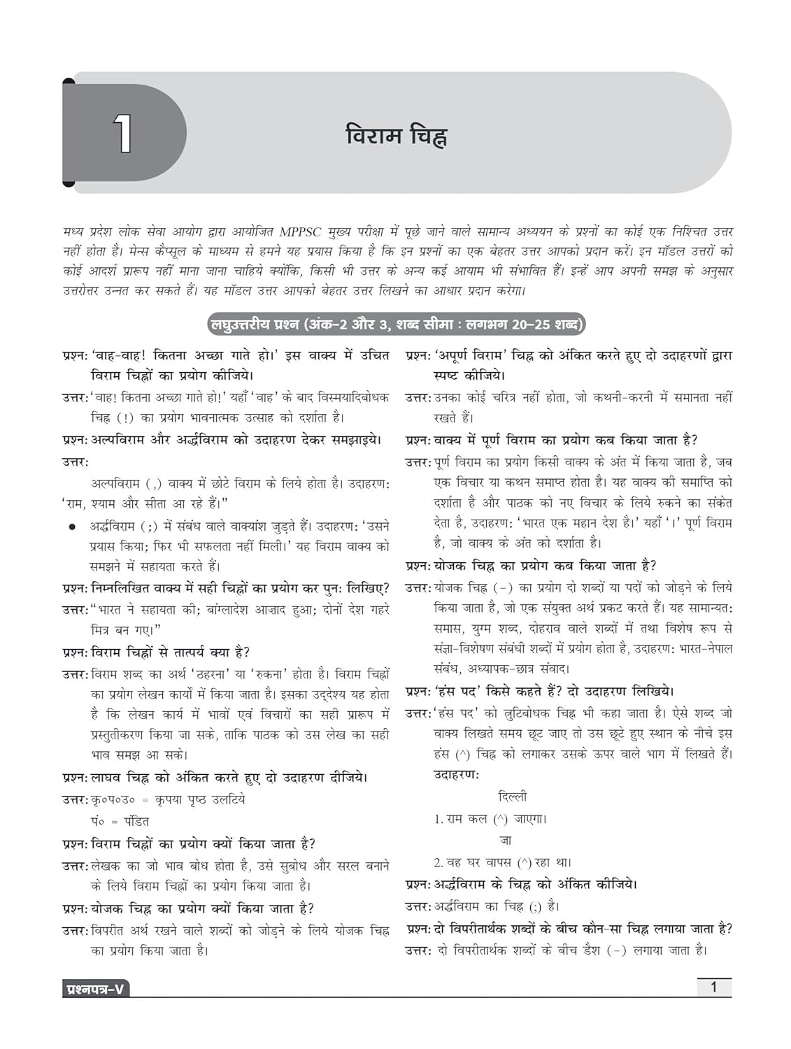Drishti IAS MPPSC Mains Capsule Samanya Hindi Evam Vyakaran (Paper-5) 2nd Edition |  Hindi Medium