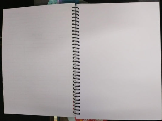 Ajanta Spiral Notebook (A4Size, 200 Pages) Plane UnRuled