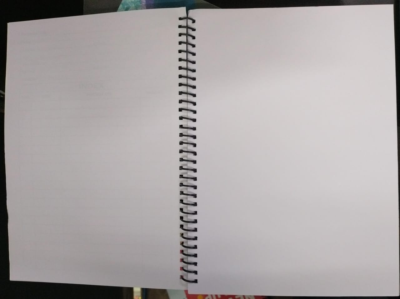 Ajanta Spiral Notebook (A4Size 400 Pages) Plane Unruled