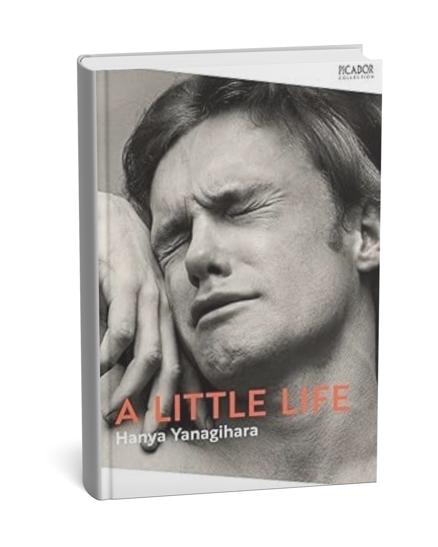 A Little Lif by  Hanya Yanagihara (paperback) (E)