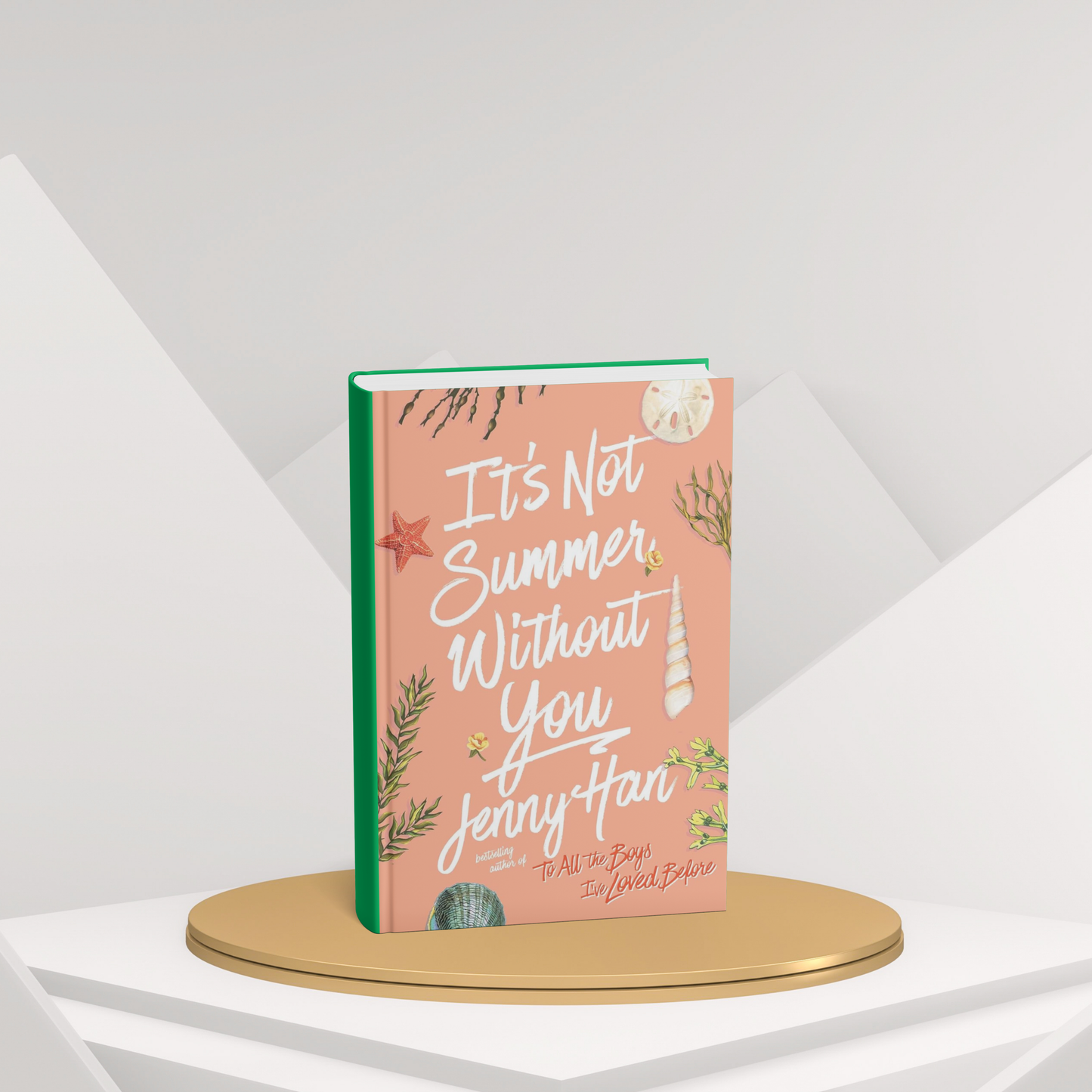 It's Not Summer Without You ( paperback ) English Edition