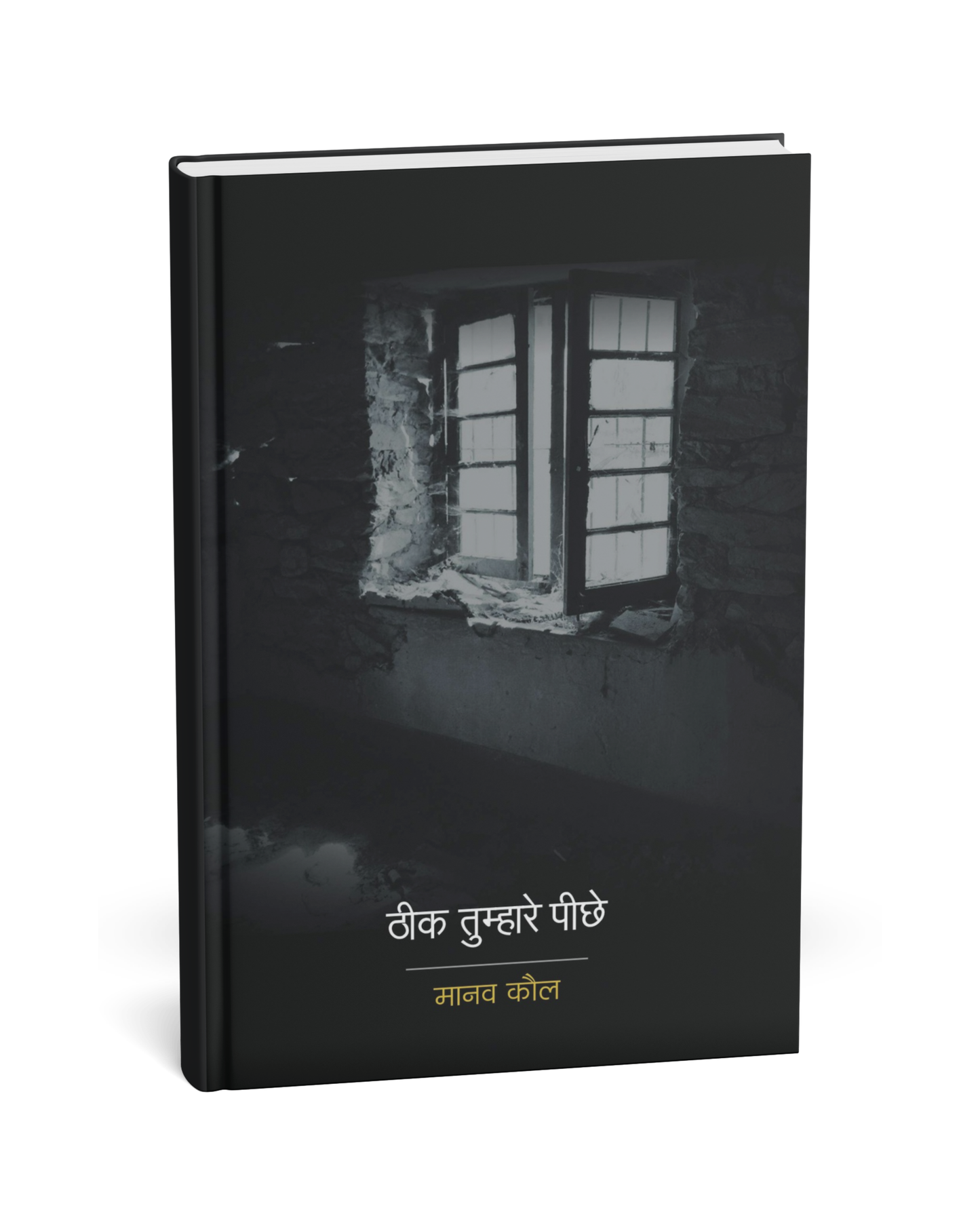 Theek Tumhare Peeche – by Manav Kaul [Hindi Novel]