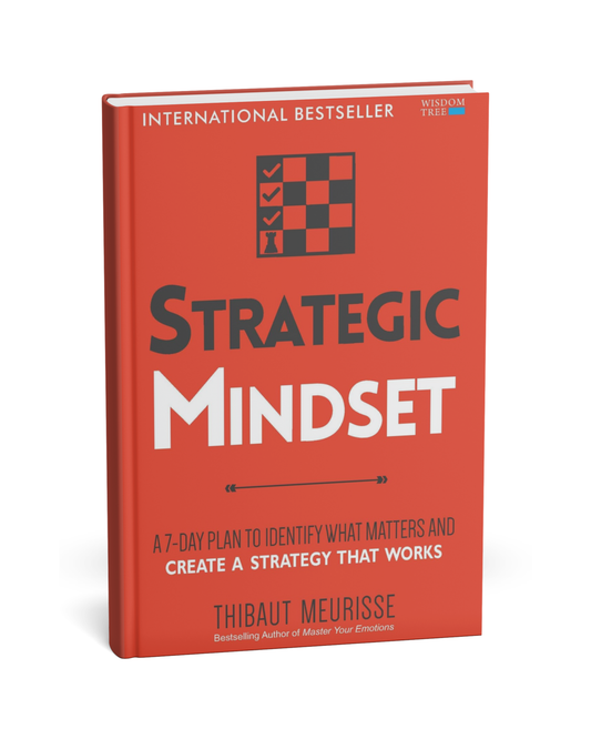 Strategic Mindset – Thibaut Meurisse [English Novels]
