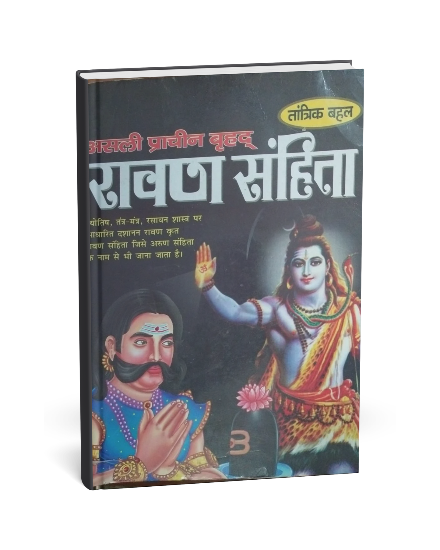 Ravan Sanhita – (Hindi Novel)