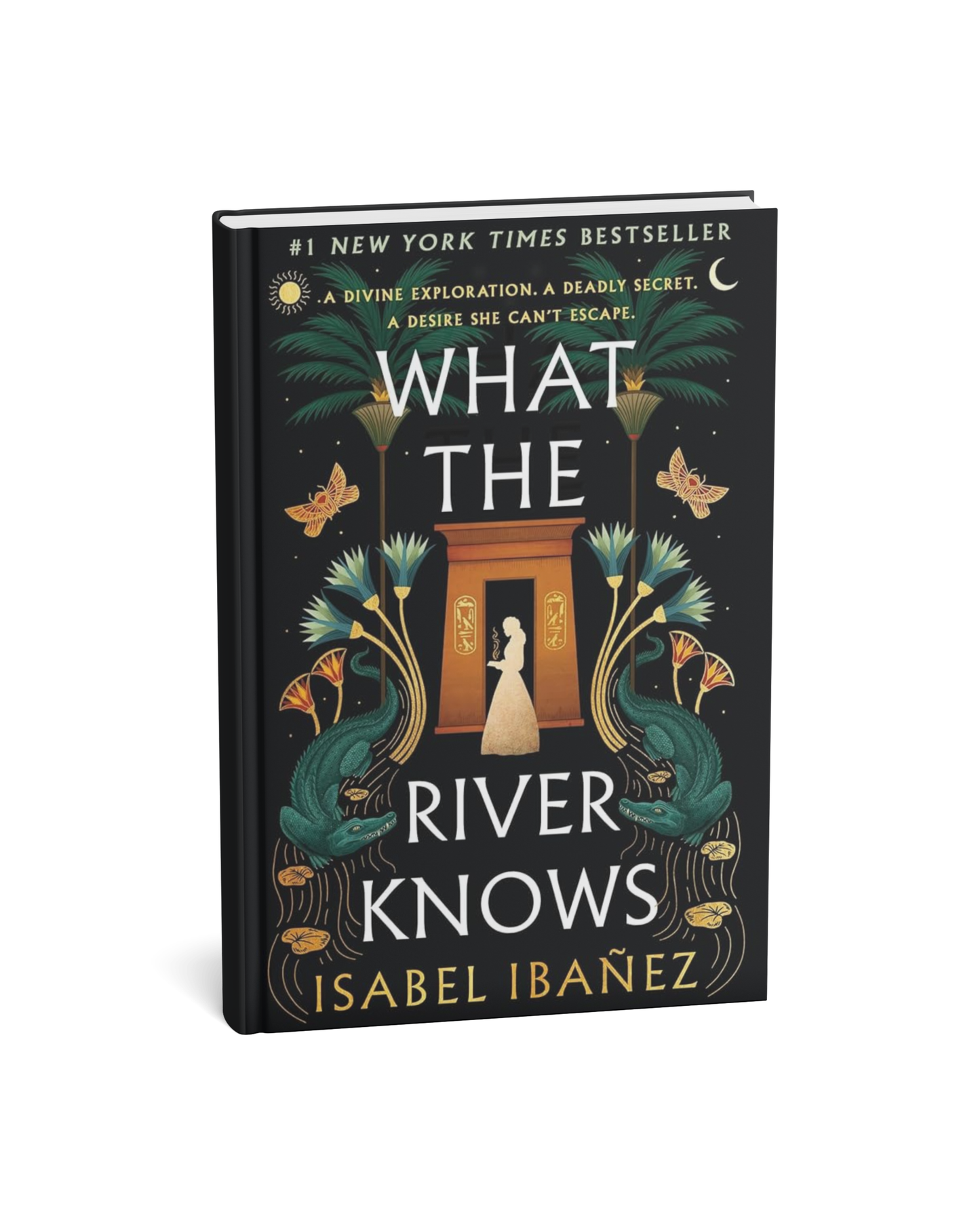 What the River Knows By Isabel Ibañez [English Novel]