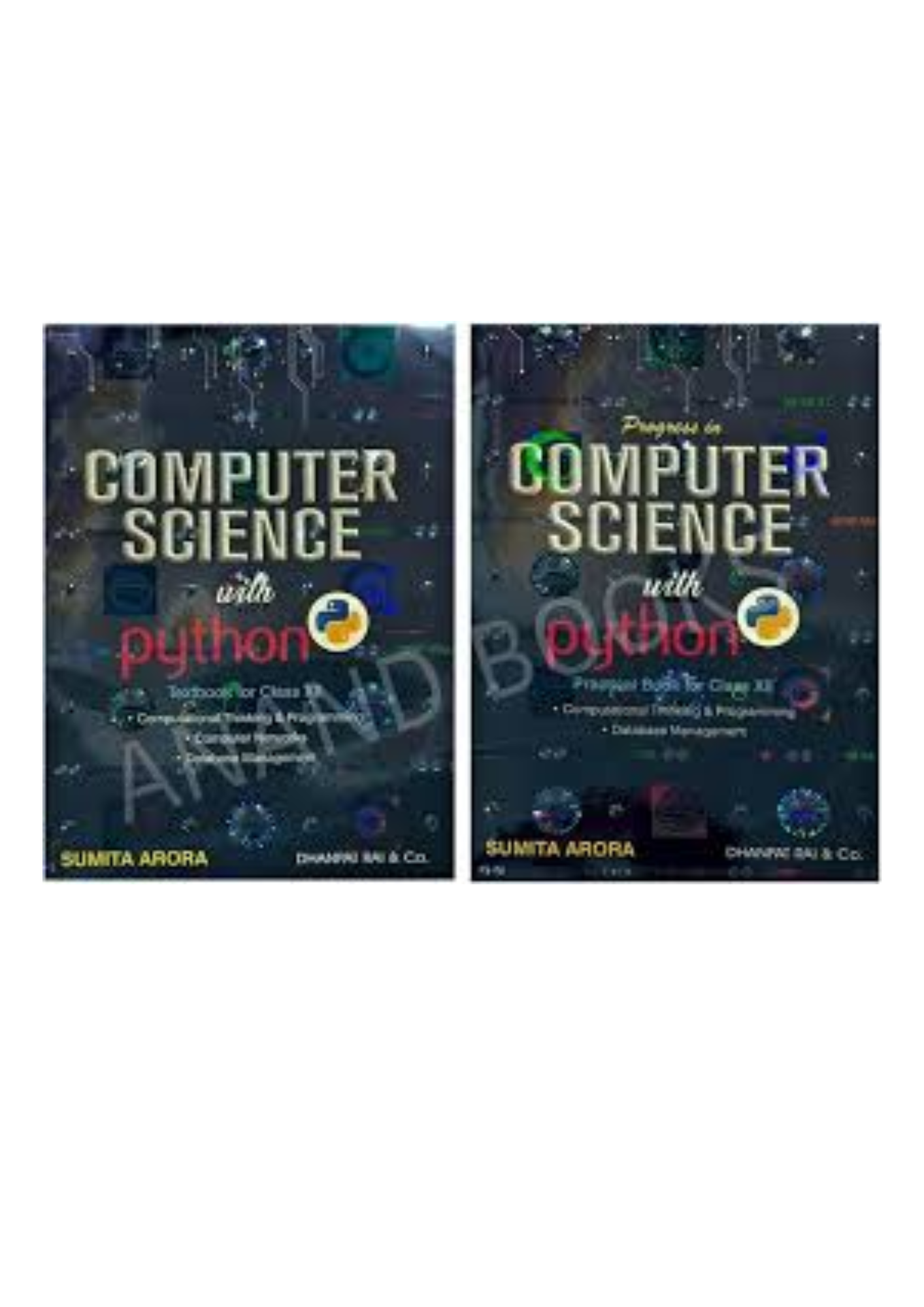 Dhanpat Rai Computer Science with Python Class 12 [English Medium]