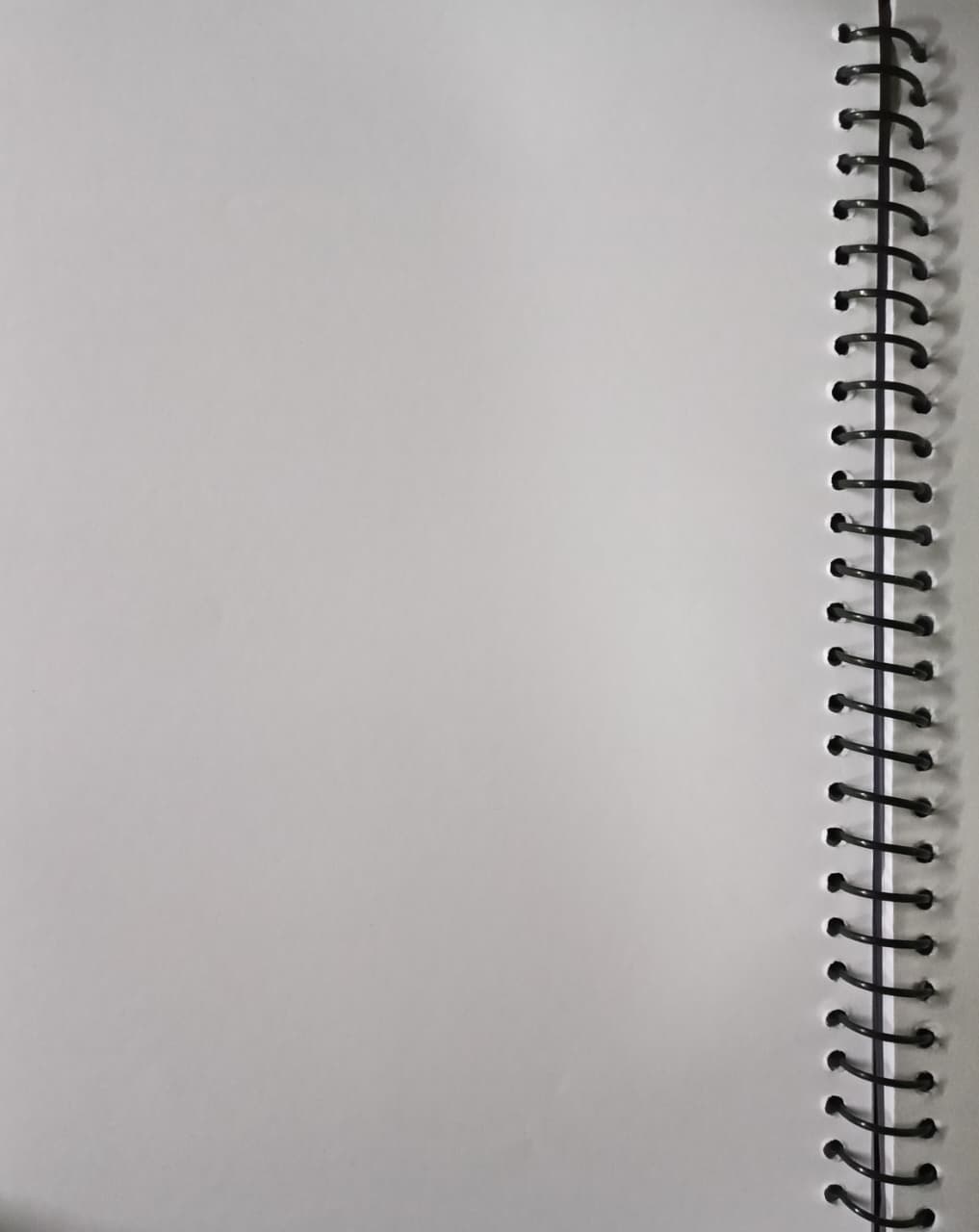 Rajshree A4 Spiral Note Book | Unruled | Premium Quality |300 Pages