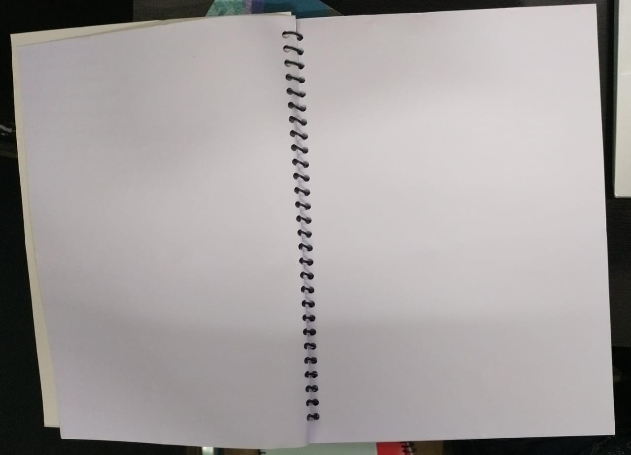 Ajanta Spiral Notebook (A4 Size, 100 Pages) Plane UnRuled