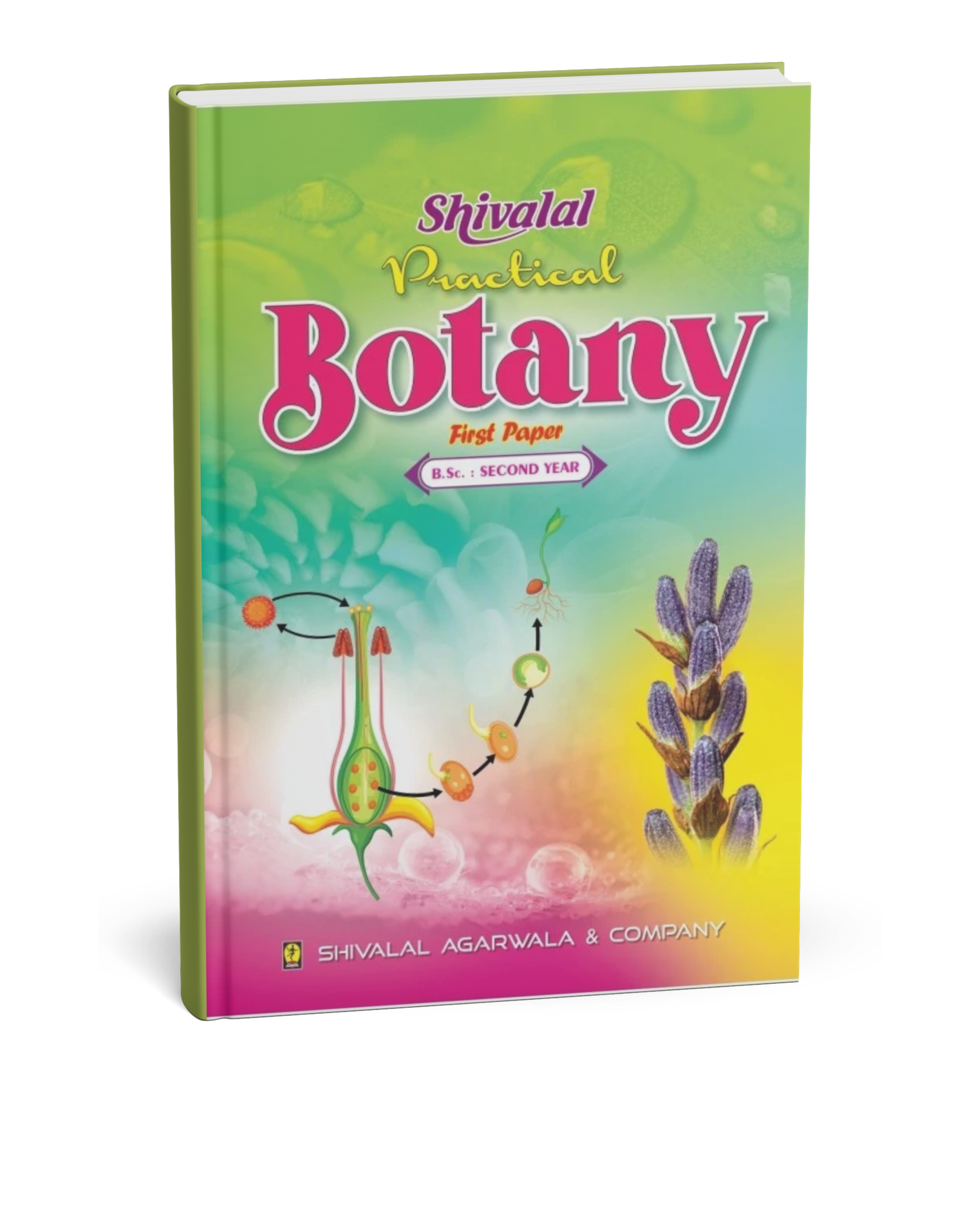 Shivalal Practical Botany B.Sc. 2nd Year Paper 1 [English] – B3books