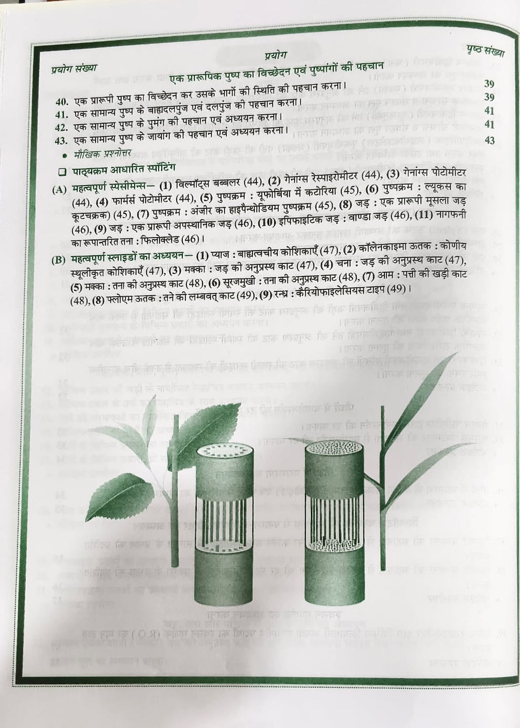 Shivalal Prayogik Vanaspati Vigyan B.Sc 1st Year Major Course 1st Paper [Hindi Medium]