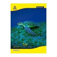 Classmate Exercise Notebook 240 Pages A4 Size (29.7 x 21 cm) | Single Line Ruled | Soft Cover (Design May Vary)