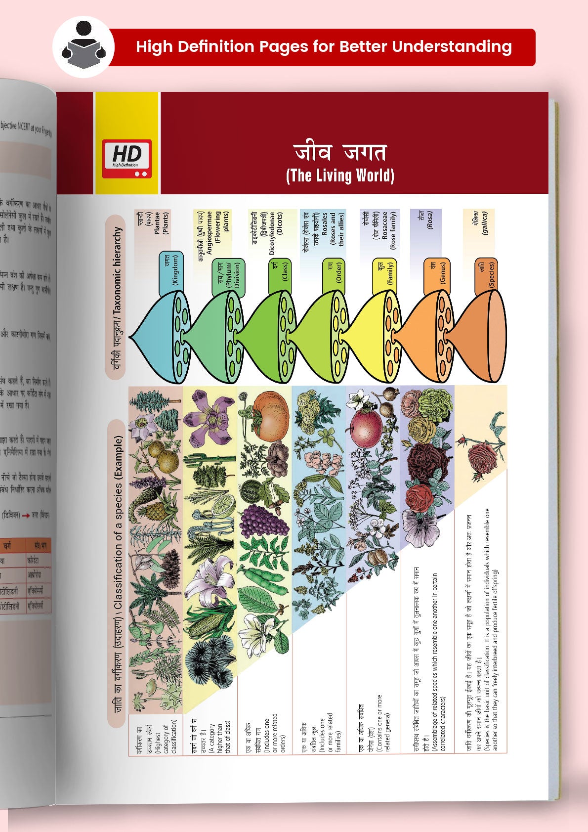 MTG - Objective NCERT at Your Fingertips Jeev Vigyan | Hindi Medium