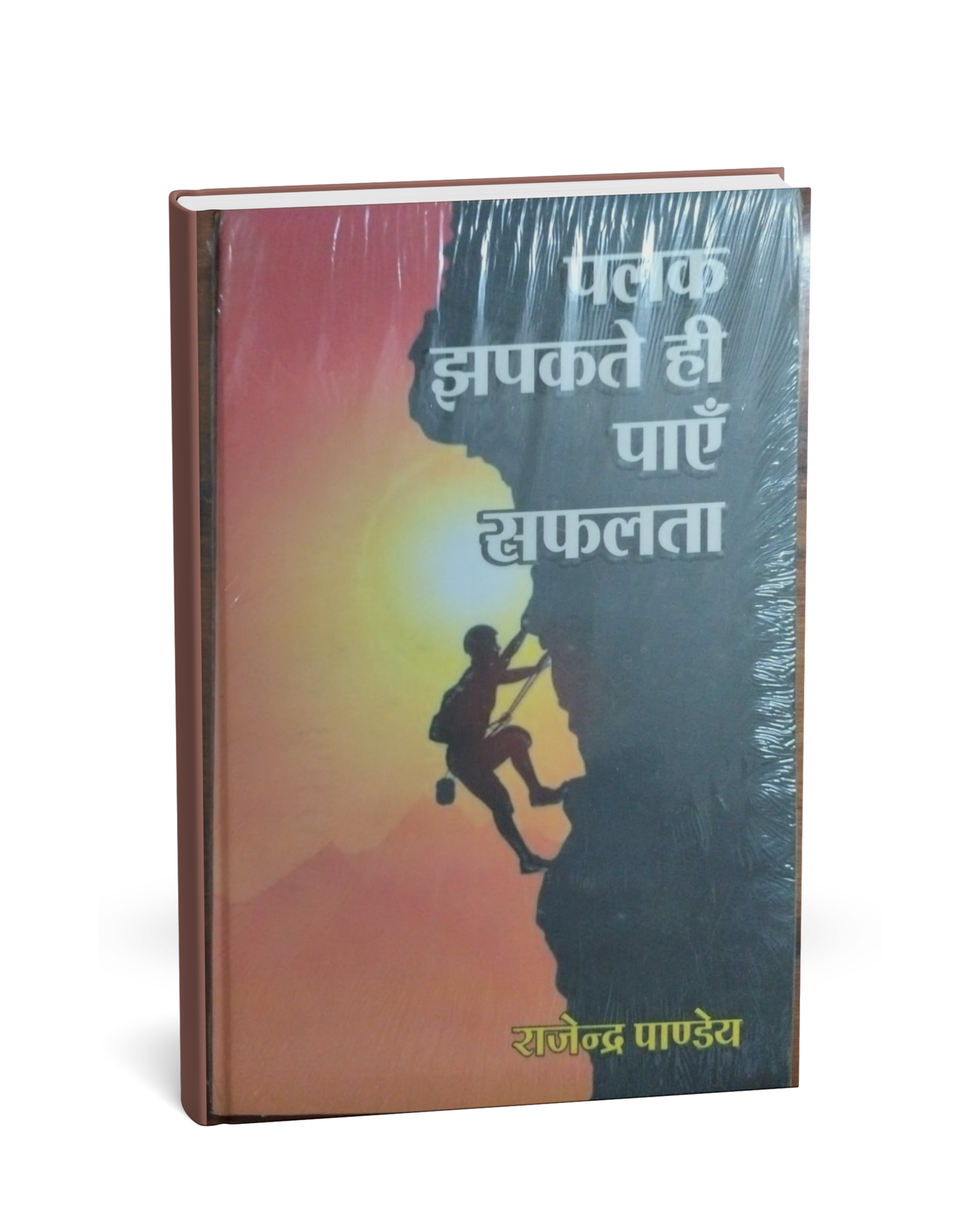 Palak Jhapakte Hi Paye Safalta by Rajendra Pandey (Hindi Medium)